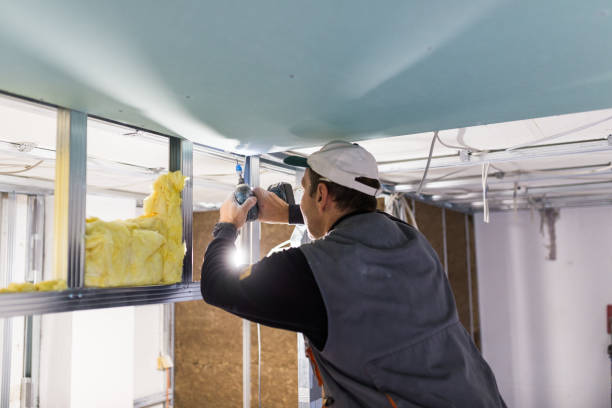 Best Attic Insulation Installation  in Millbourne, PA