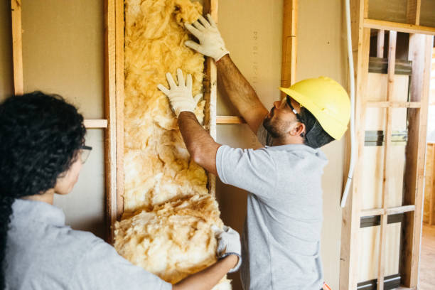 Best Best Insulation Companies  in Millbourne, PA