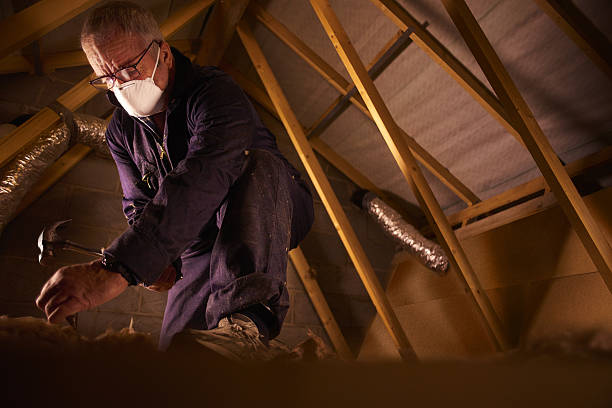 Best Home Insulation Services  in Millbourne, PA